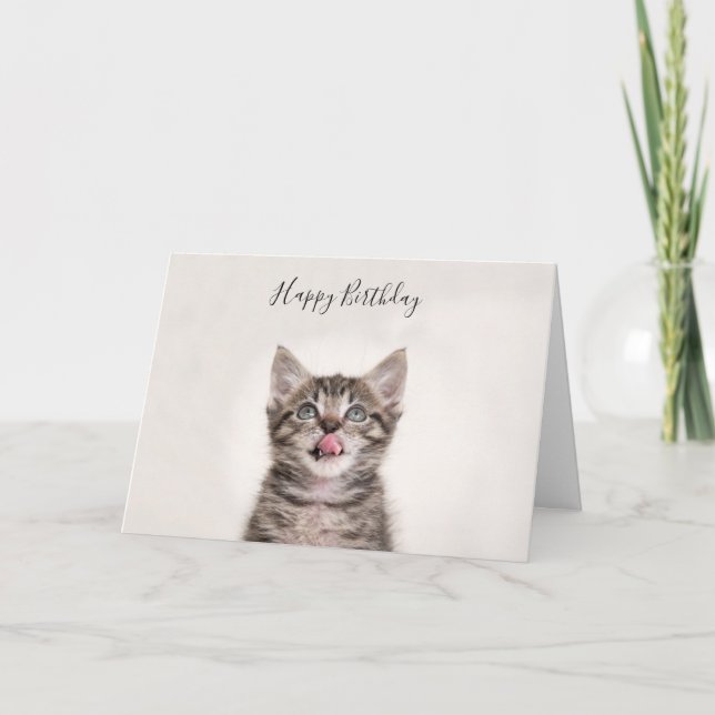 Cute tabby kitten birthday card (Front)