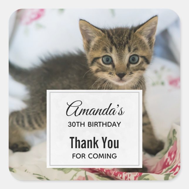 Cute Tabby Kitten Looking Surprised Birthday Square Sticker (Front)