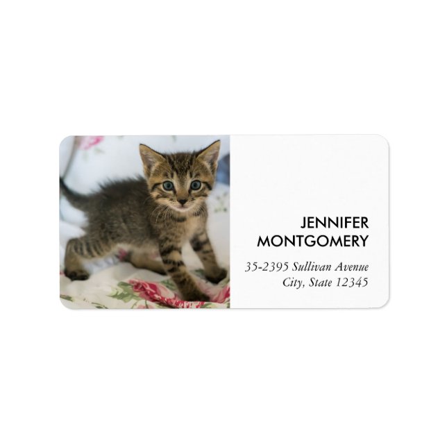 Cute Tabby Kitten Looking Surprised Label (Front)