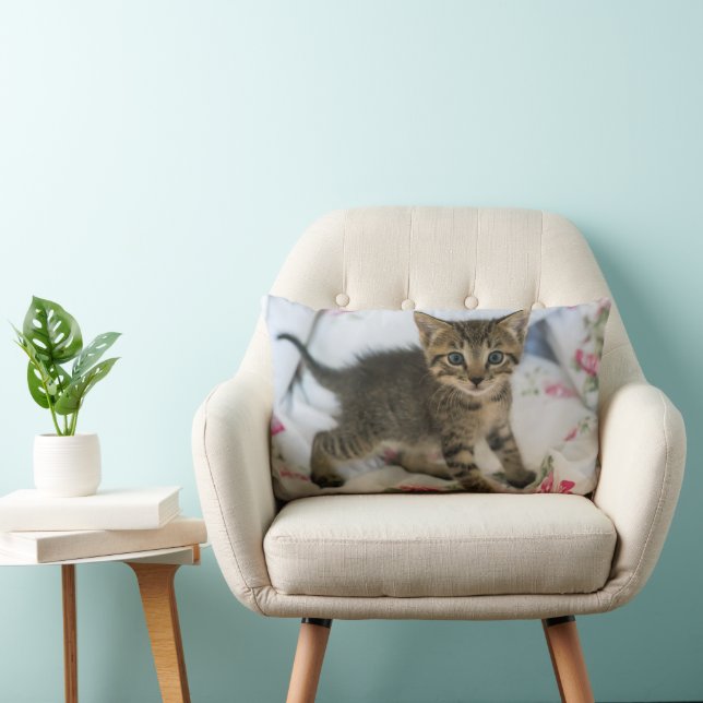 Cute Tabby Kitten Looking Surprised Lumbar Cushion (Chair)