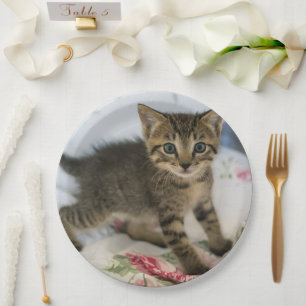 Cute Tabby Kitten Looking Surprised Paper Plate