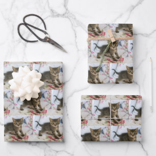 Cute Tabby Kitten Looking Surprised Patterned Wrapping Paper Sheet