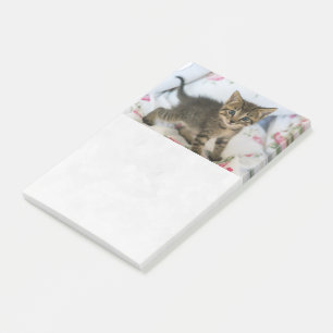 Cute Tabby Kitten Looking Surprised Post-it Notes
