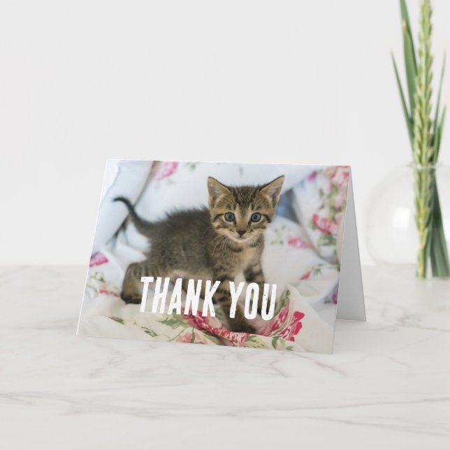 Cute Tabby Kitten Looking Surprised Thank You Card (Front)