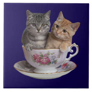 Cute Tabby Kitten Teacup Decorative Tile