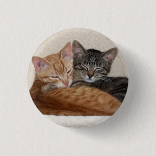 Cute Tabby Kittens Button / Badge