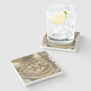 Cute Tabby Looking Up Pencil Sketch Stone Coaster
