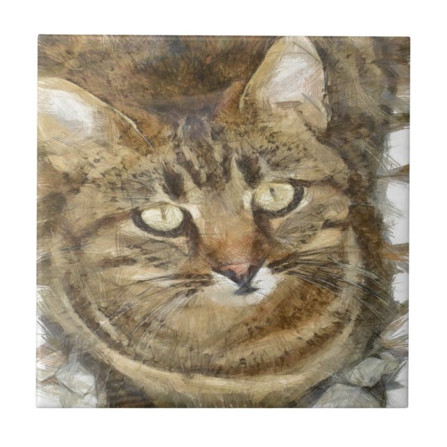 Cute Tabby Looking Up Pencil Sketch Tile (Front)