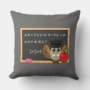 Cute Teacher Owl with Apple Cartoon Cushion