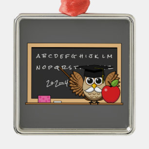 Cute Teacher Owl with Apple Cartoon Metal Ornament