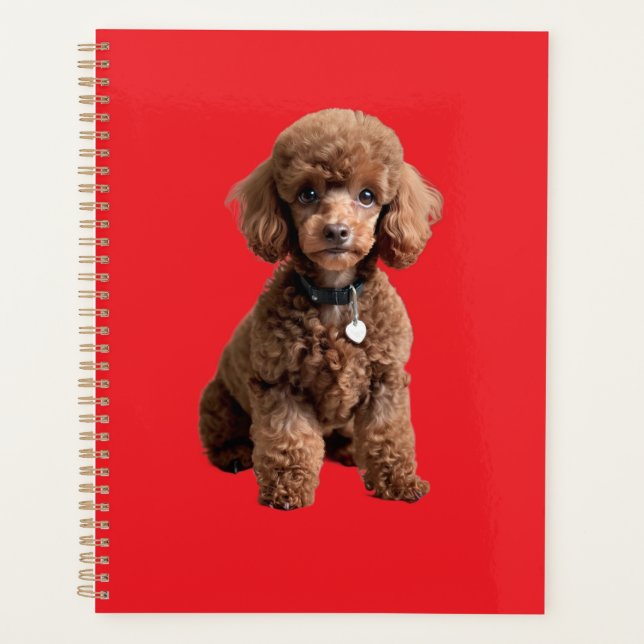  Cute Teacup Poodle Red Folder Planner (Front)