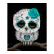 Cute Teal Day of the Dead Sugar Skull Owl Stars