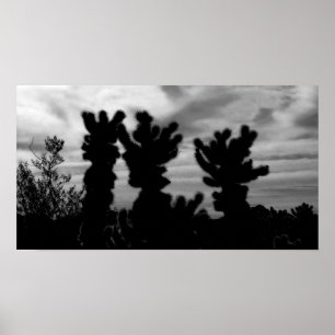 CUTE Teddy Bear Cholla Cactus Poster