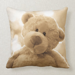 Cute Teddy Bear Pillow Poetry on the Back
