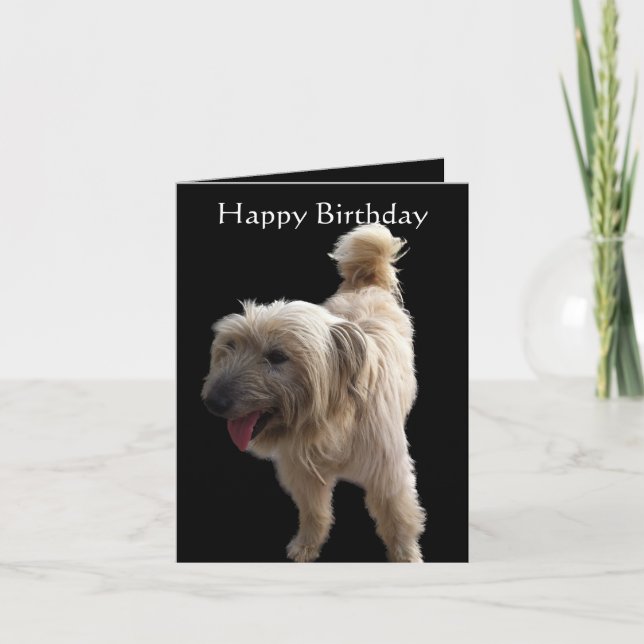 Cute Terrier Card (Front)