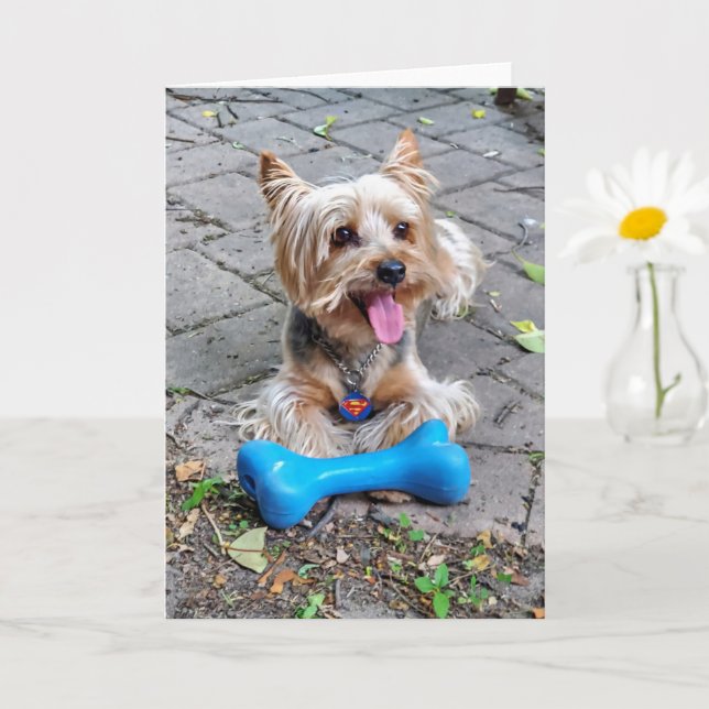 Cute Terrier Card (Small Plant)