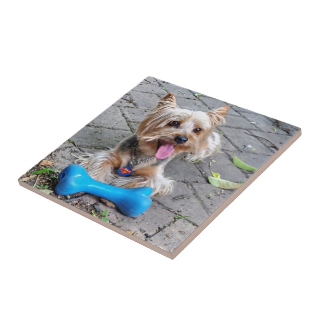 Cute Terrier Ceramic Tile (Side)
