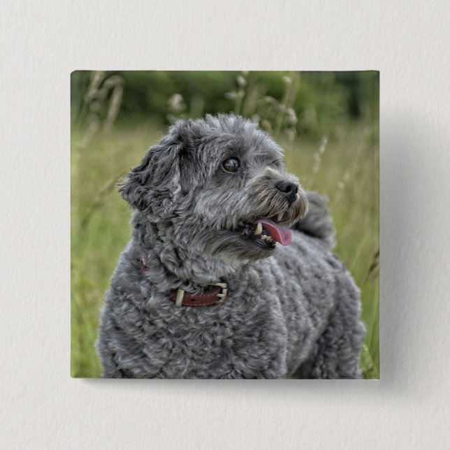 Cute Terrier Dog 15 Cm Square Badge (Front)