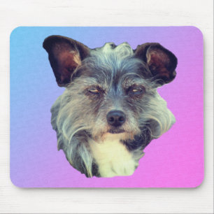 Cute Terrier Dog  Mouse Pad