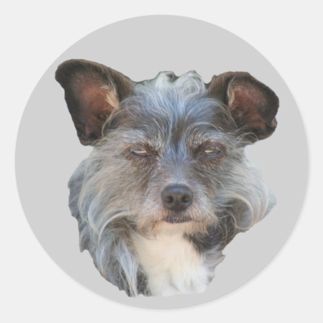 Cute Terrier Mixed Breed Mutt Dog Sticker (Front)