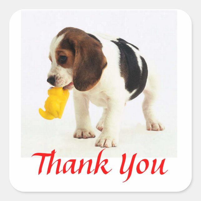 Cute Thank You  Beagle Puppy Dog Greeting Stickers (Front)