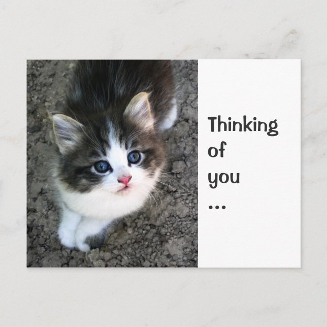 CUTE "Thinking of you" Customisable Personalizable Postcard (Front)