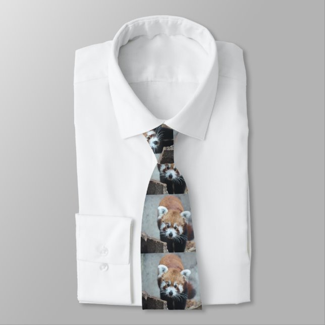 Cute Tie (Tied)