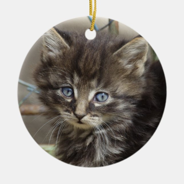 Cute Tiger-Cat Kitten Ceramic Tree Decoration (Front)