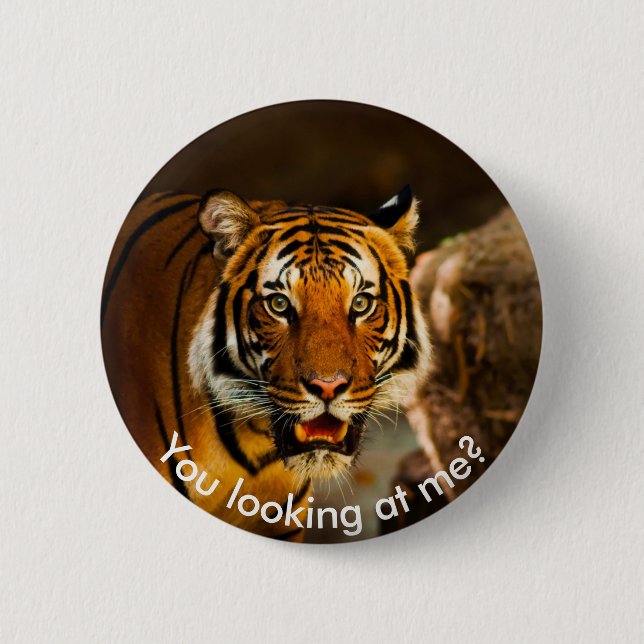 Cute Tiger in grass 6 Cm Round Badge (Front)