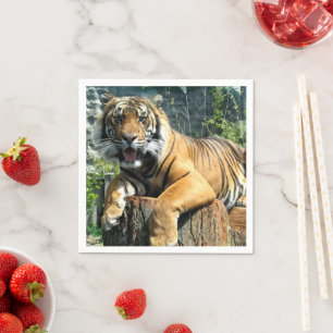 Cute Tiger Napkin