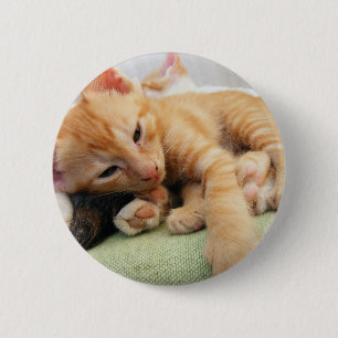 Cute Tiger Stripe Kitten 6 Cm Round Badge