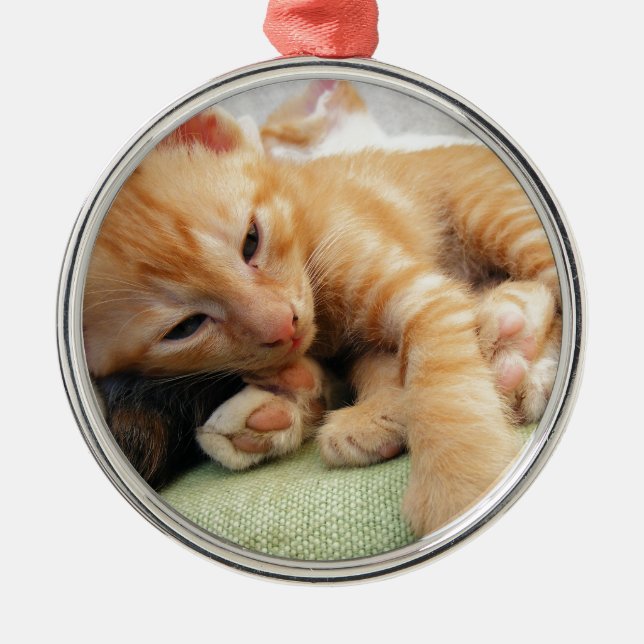 Cute Tiger Stripe Kitten Metal Tree Decoration (Front)