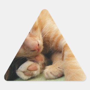 Cute Tiger Stripe Kitten Triangle Sticker