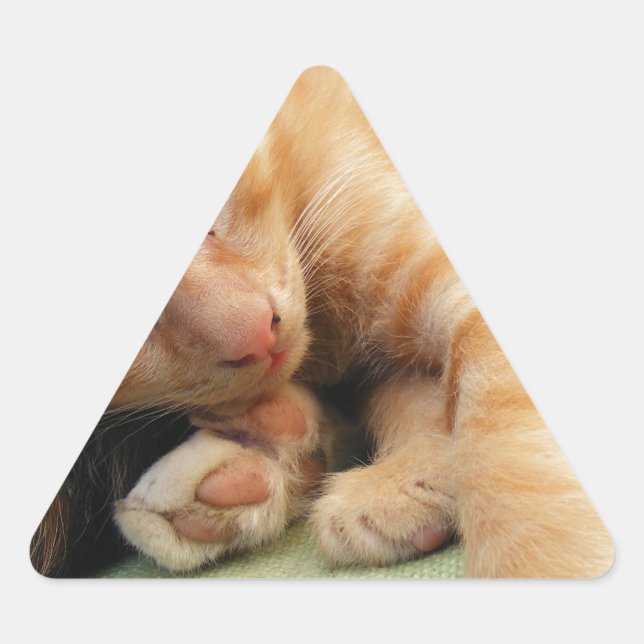 Cute Tiger Stripe Kitten Triangle Sticker (Front)