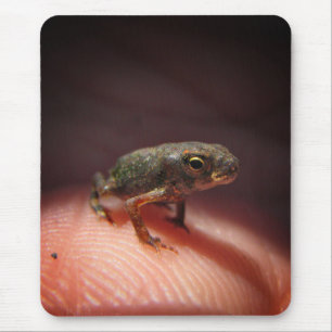 Cute Tiny Baby Toad / Tadpole Mouse Pad