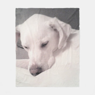 Cute Tired White Labrador Mix Dog Grey Medium  Fleece Blanket