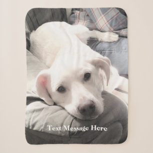 Cute Tired White Labrador Mix Dog With Dad Sherpa Blanket