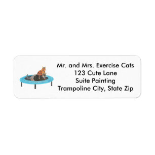 Cute Trampoline Cats Exercise Address Labels