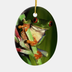 Cute Tree Frog ornament