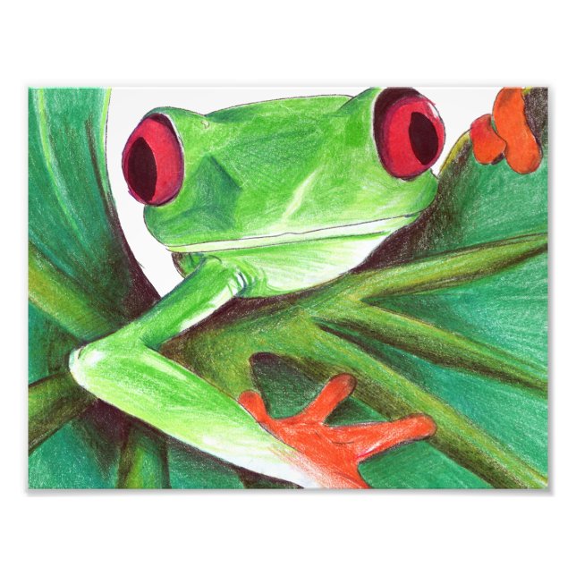 cute tree frog photo print (Front)