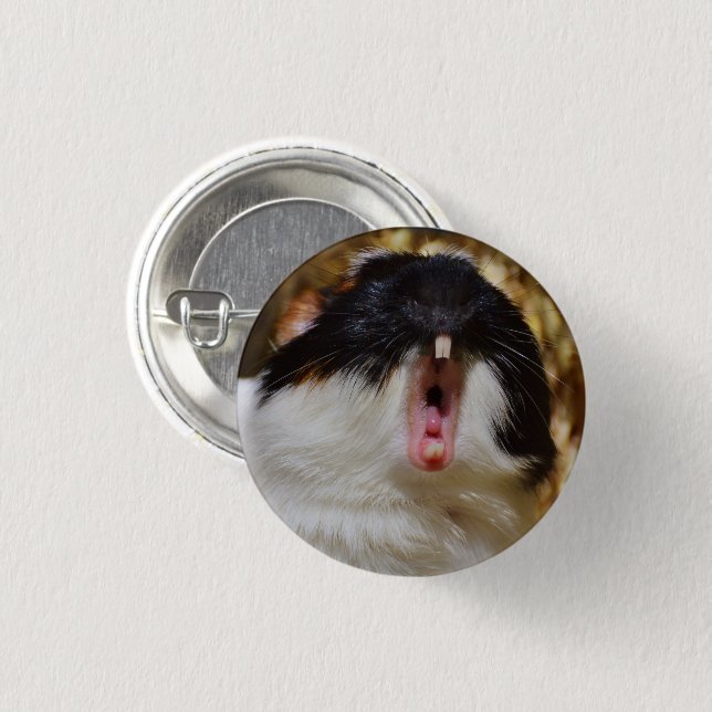 Cute Tri-colour Guinea Pig Yawning 3 Cm Round Badge (Front & Back)