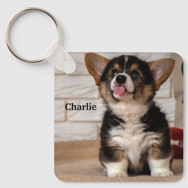 Cute Tri colour Pembroke Welsh Corgi Puppy Dog Key Ring (Front)