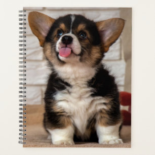 Cute Tri colour Pembroke Welsh Corgi Puppy Dog Planner