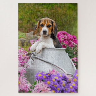 Cute Tricolor Beagle Dog Puppy in Churn - Jigsaw Puzzle