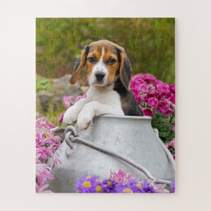 Cute Tricolor Beagle Dog Puppy Pet in a Milk Churn Jigsaw Puzzle