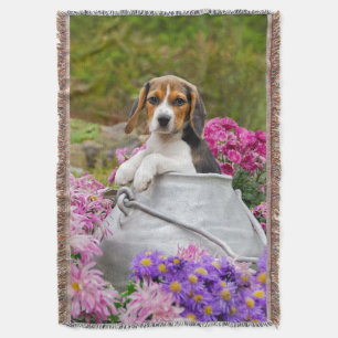 Cute Tricolor Beagle Dog Puppy Portrait Photo - Throw Blanket