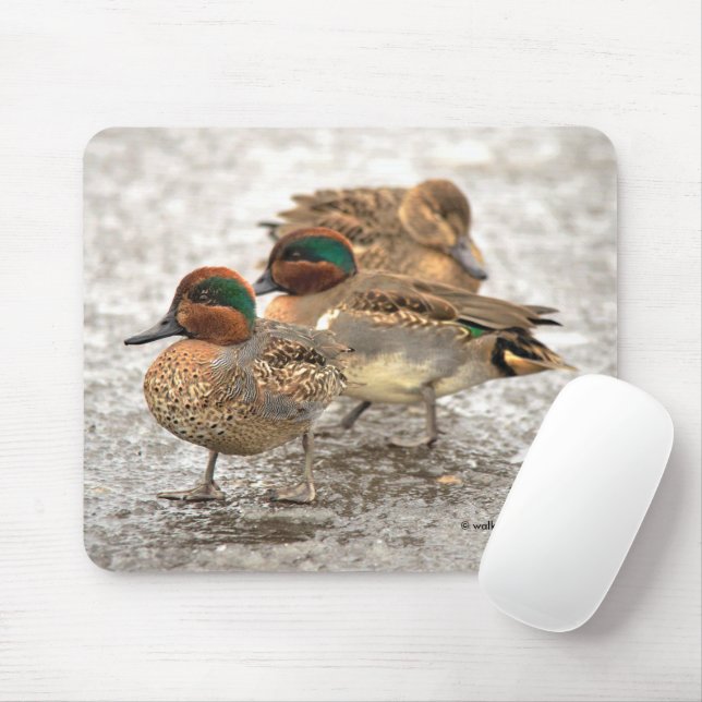 Cute Trio of Green-Winged Teals Ducks Mouse Pad (With Mouse)