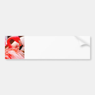 Cute Tropical Bright Pink Flamingo Bumper Sticker