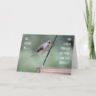 Cute Tufted Titmouse on Feeder, Funny Birthday Card