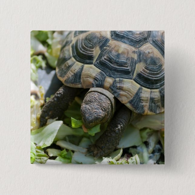 Cute Turtle 15 Cm Square Badge (Front)
